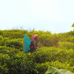 gemmmm-jd1QQQbxKuw-unsplash