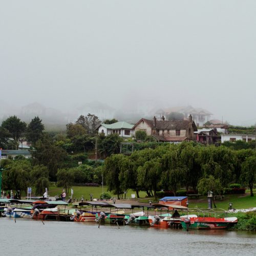 Photo by Saaketh PVR on Unsplash